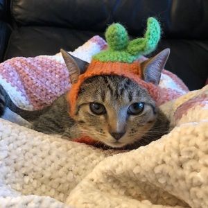 Cat or kitten pumpkin crochet hat one size handmade new 🐱😻😻😻
